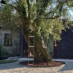 Quinta Do Fontao - Casa Com Piscina *