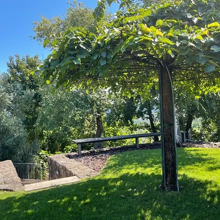 Quinta Do Fontao - Casa Com Piscina Arcos de Valdevez