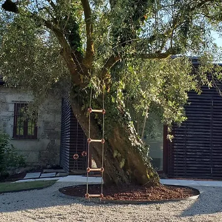Quinta Do Fontao - Casa Com Piscina *