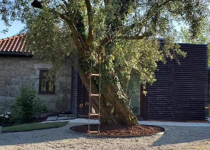 Quinta Do Fontao - Casa Com Piscina *
